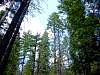 DSC01450.JPG