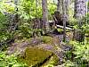 DSC01451.JPG