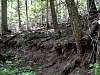 DSC01455.JPG