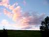 DSC01489.jpg