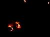 DSC01505.JPG