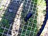 DSC01535.JPG