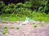 DSC01610.JPG