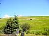 DSC01661.JPG