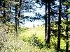 DSC01666.JPG