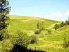 DSC01668.JPG