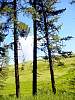 DSC01675.JPG
