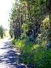 DSC01677.JPG