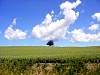 DSC01679.JPG