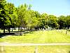 DSC01681.JPG