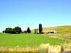 DSC01685.JPG