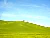 DSC01689.JPG