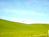 DSC01690.JPG