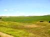 DSC01715.JPG
