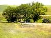 DSC01723.JPG
