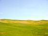 DSC01728.JPG