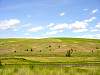 DSC01736.JPG