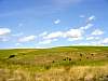DSC01737.JPG