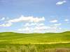DSC01738.JPG