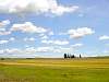 DSC01739.JPG