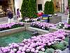 DSC04425.JPG