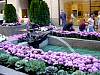 DSC04427.JPG