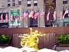 DSC04431.JPG