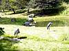 dsc04817.jpg