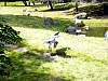 dsc04820.jpg