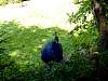 dsc04824.jpg