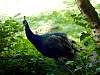 dsc04827.jpg