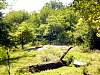 dsc04830.jpg