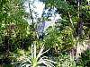 dsc04838.jpg