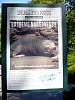 dsc04839.jpg