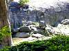 dsc04856.jpg