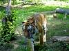 dsc04888.jpg