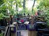 dsc04905.jpg