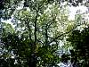 dsc04907.jpg