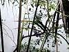 dsc04915.jpg