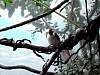 dsc04933.jpg