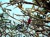 dsc04953.jpg