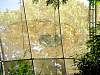 dsc04986.jpg