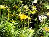 dsc04999.jpg