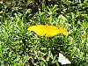 dsc05006.jpg