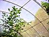 dsc05008.jpg