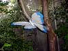 dsc05009.jpg