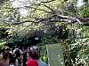 dsc05038.jpg