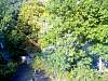 dsc05044.jpg