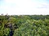 dsc05051.jpg