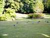 dsc05072.jpg